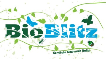 BioBlitz Mantova 2018
